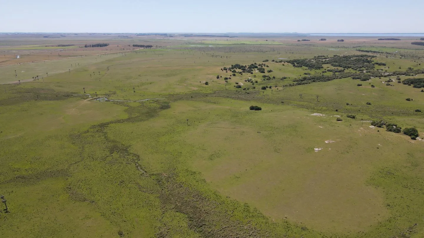 Campo Ganadero de 3000ha Rocha — foto 14