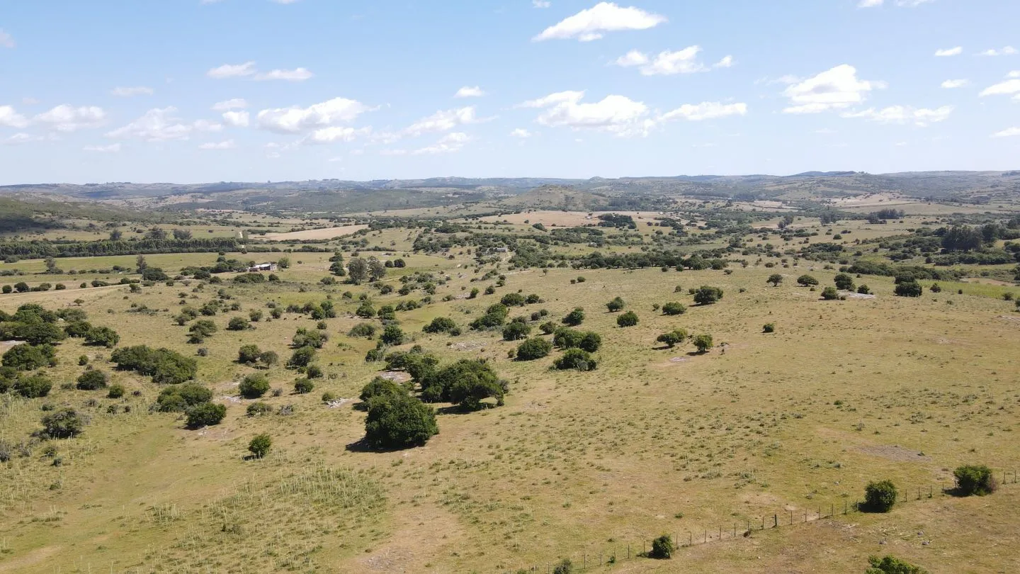 Chacras Lucero del Edén, 5Ha  ruta 12 — foto 14