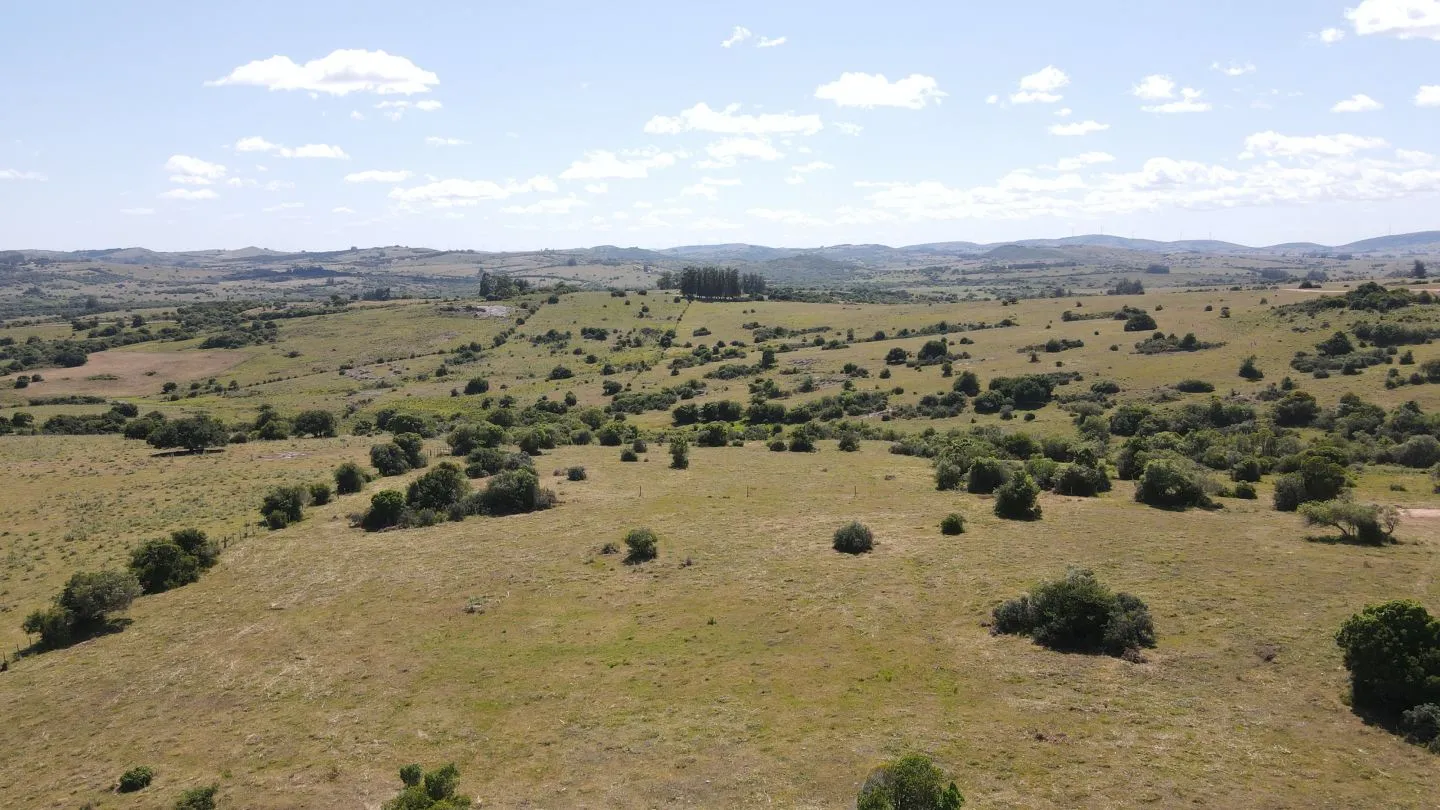 Chacras Lucero del Edén, 5Ha  ruta 12 — foto 15