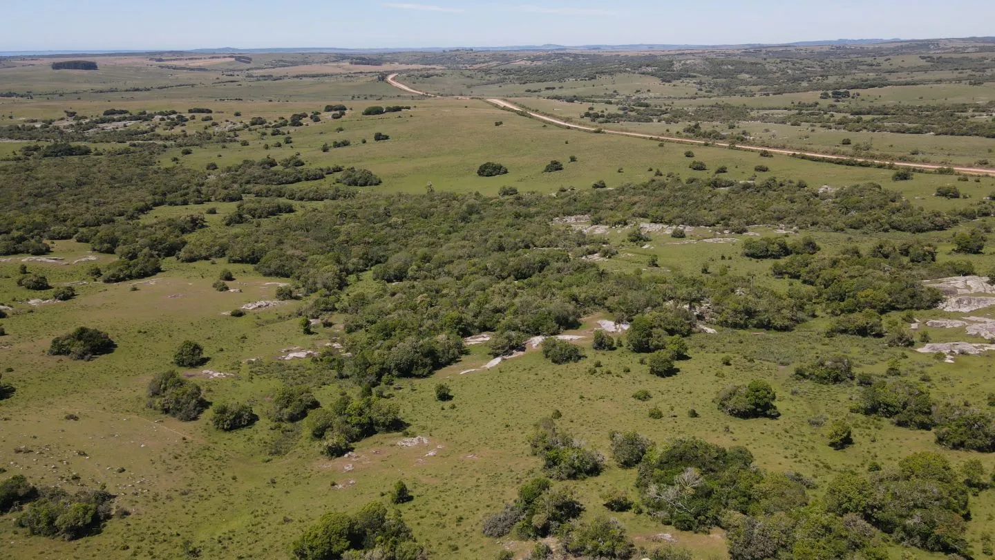 Campo Ganadero de 3000ha Rocha — foto 15