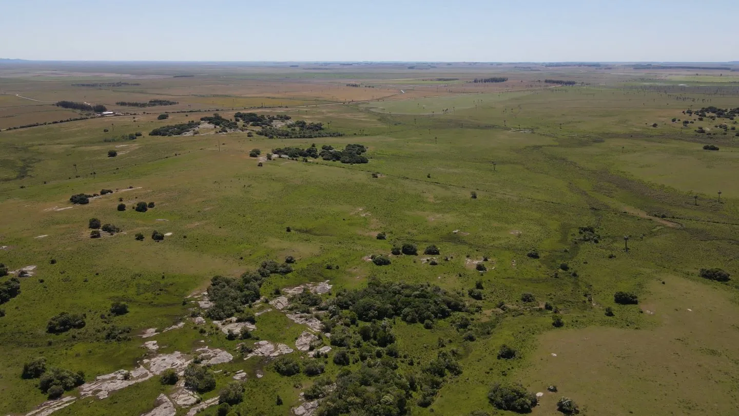Campo Ganadero de 3000ha Rocha — foto 16