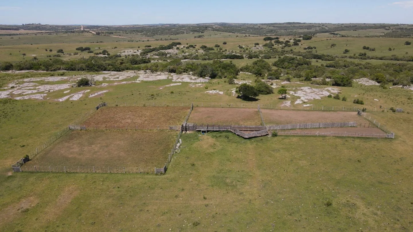 Campo Ganadero de 3000ha Rocha — foto 17