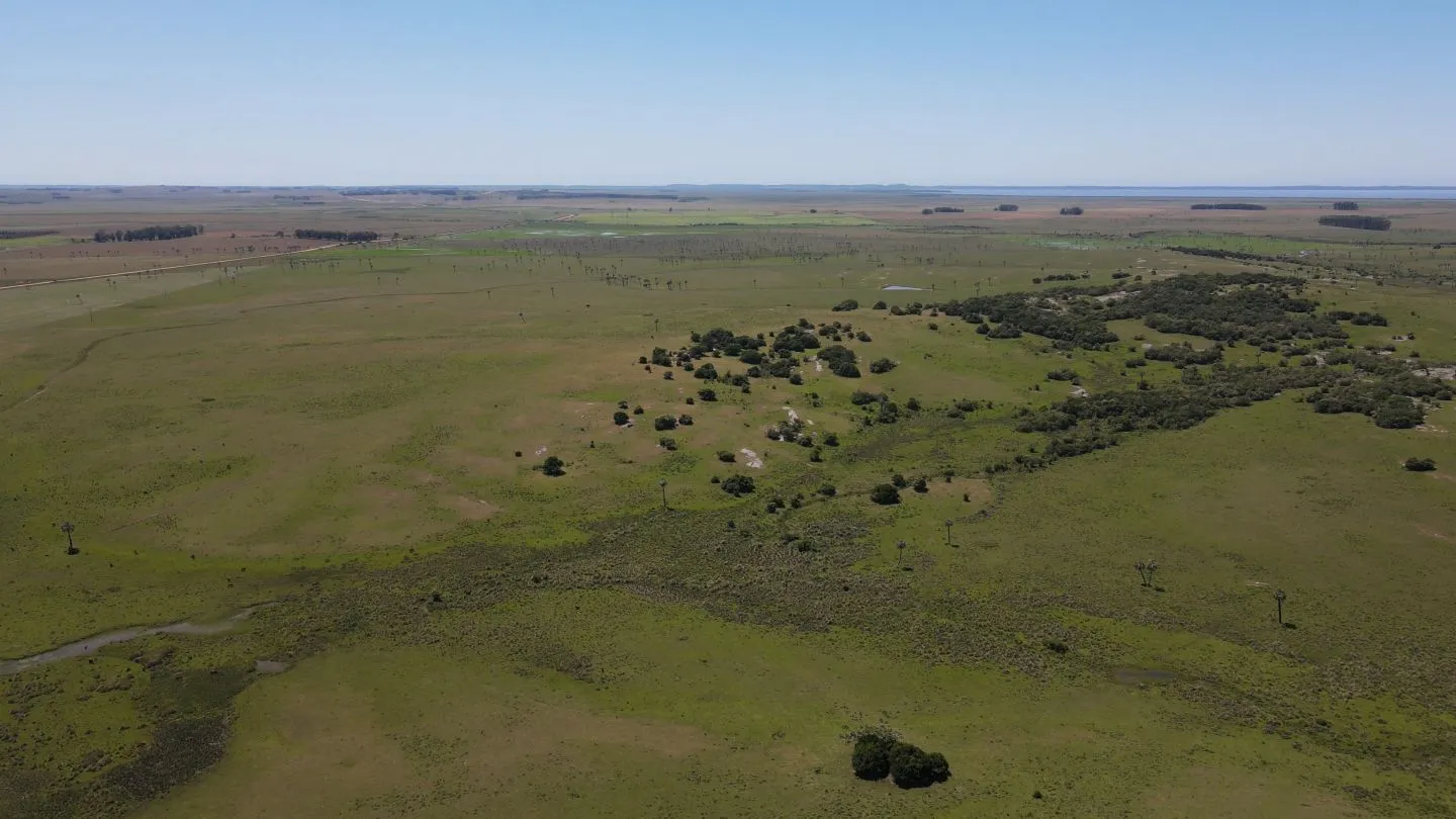Campo Ganadero de 3000ha Rocha — foto 18
