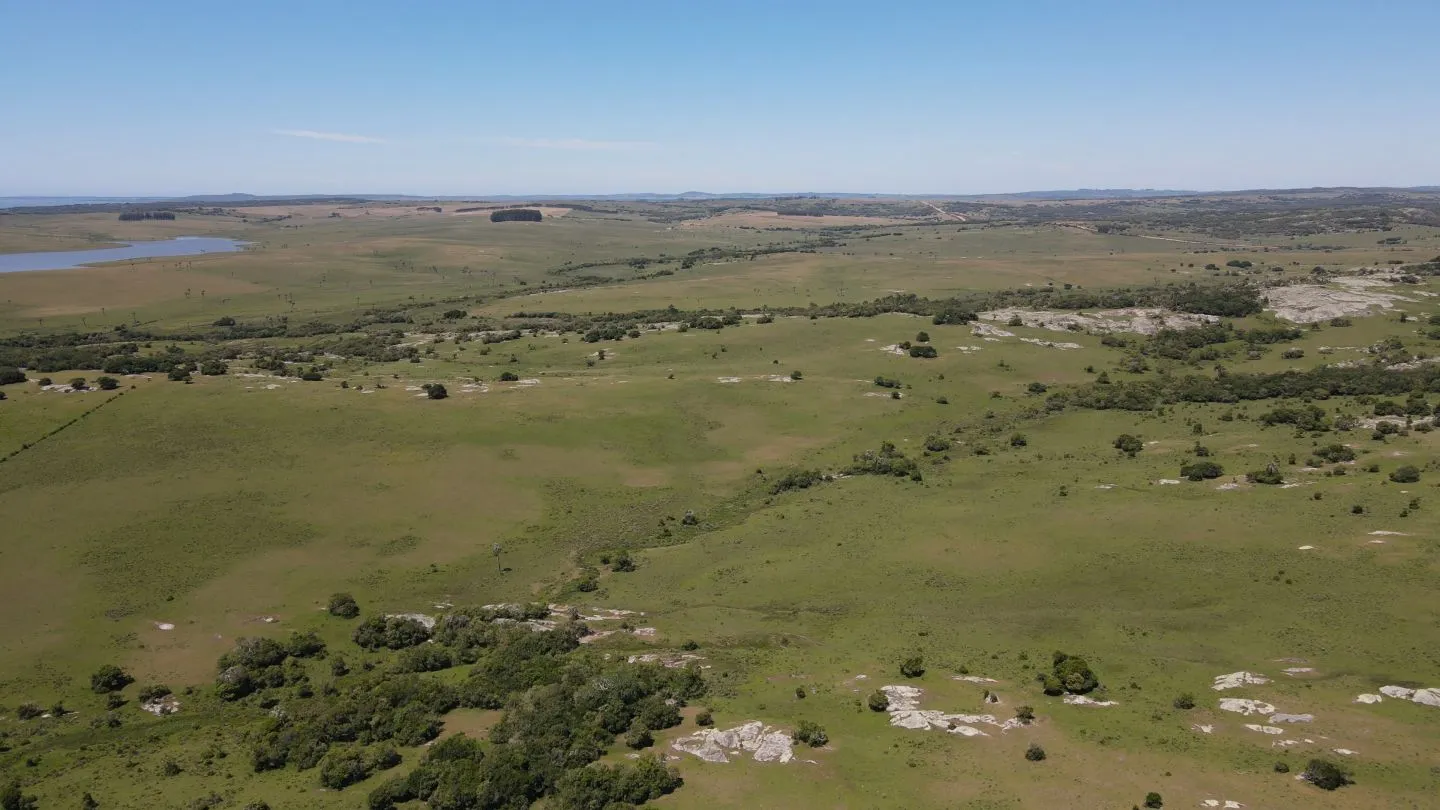 Campo Ganadero de 3000ha Rocha — foto 19