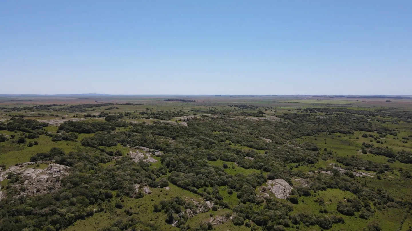 Campo Ganadero de 3000ha Rocha — foto 20