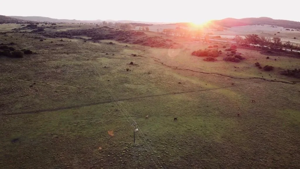 Campo en Lavalleja de 55ha con arroyo y vista a las sierras — foto 4