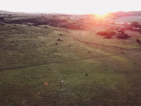 Campo en Lavalleja de 55ha con arroyo y vista a las sierras — foto 4
