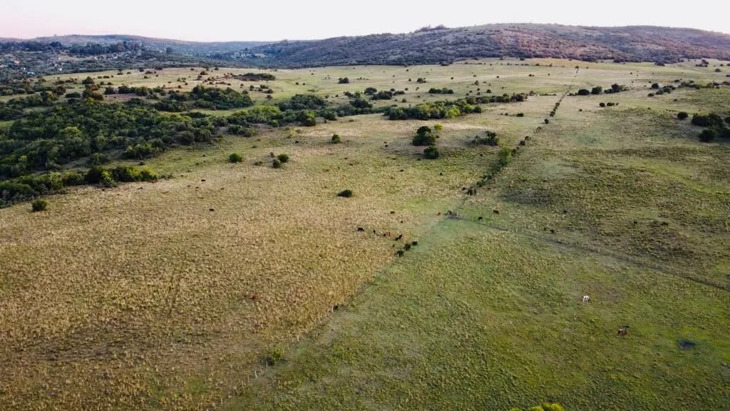Campo en Lavalleja de 55ha con arroyo y vista a las sierras — foto 6
