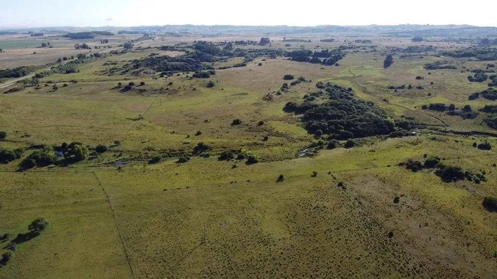 Campo en Lavalleja de 55ha con arroyo y vista a las sierras — foto 8