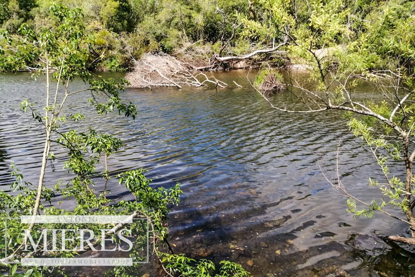 Chacra en Venta en Maldonado, San Carlos. — foto 2