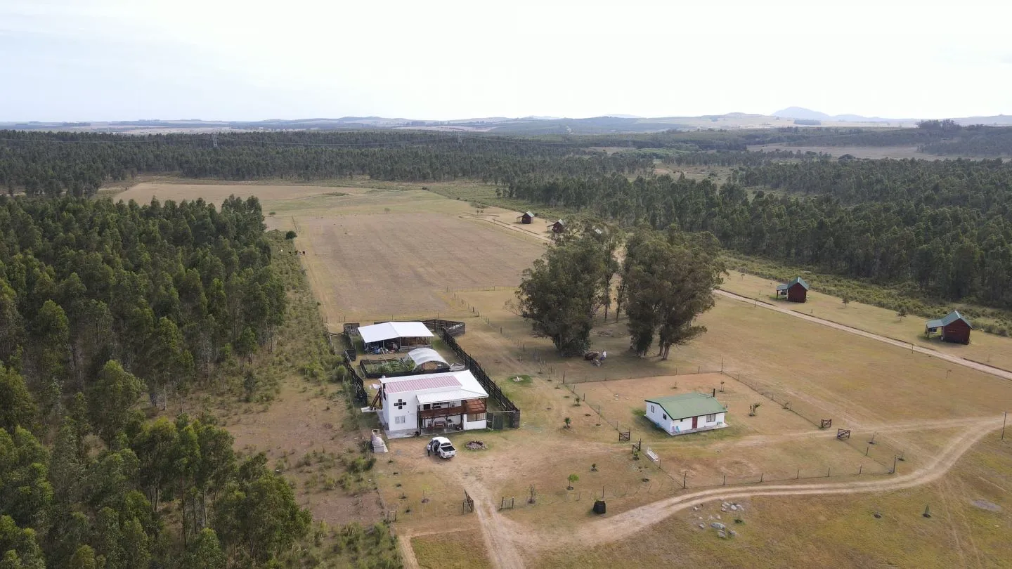 Posada de Campo con 10 cabañas  completas en Maldonado — foto 10