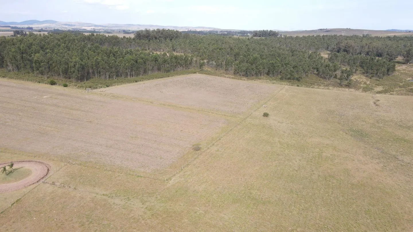 Posada de Campo con 10 cabañas  completas en Maldonado — foto 12
