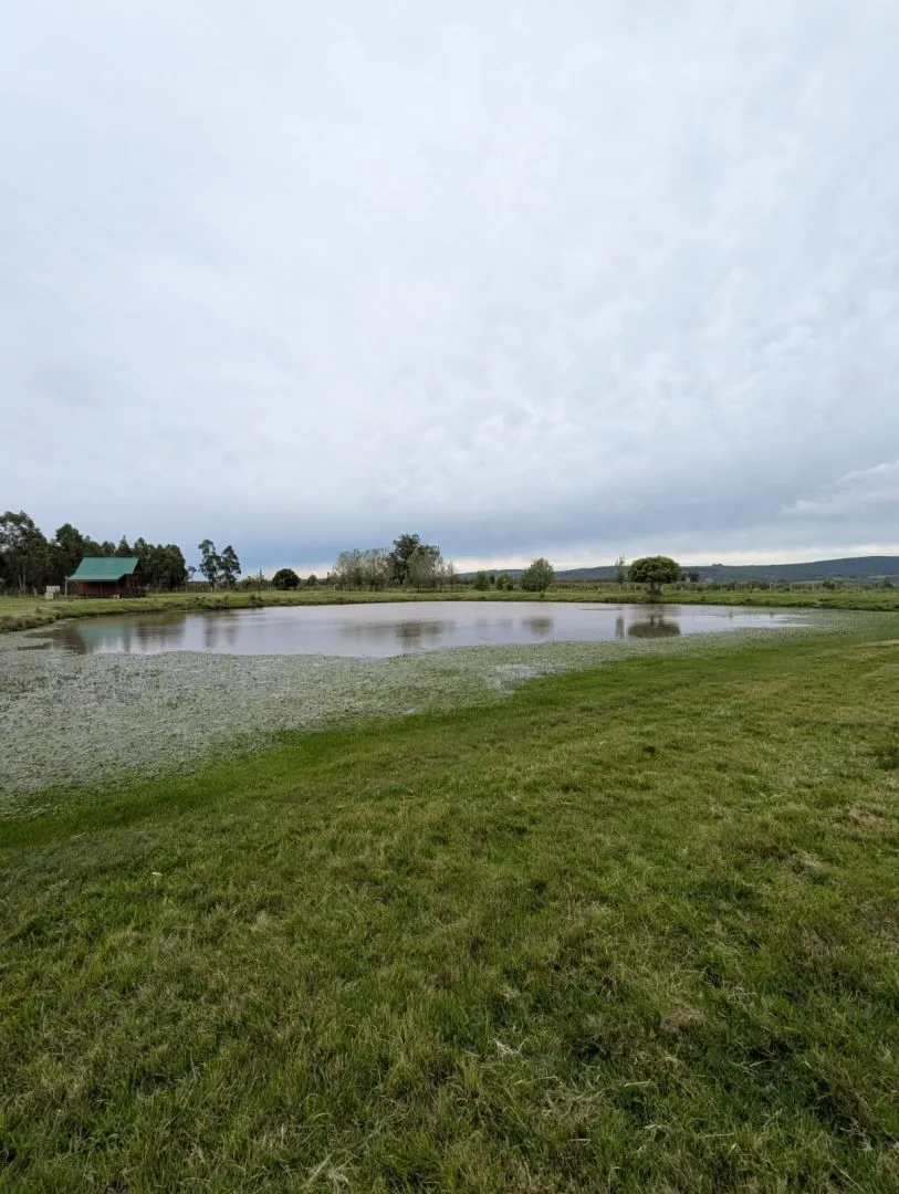 Posada de Campo con 10 cabañas  completas en Maldonado — foto 14