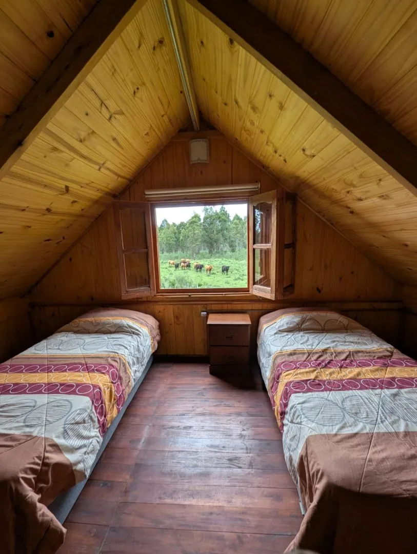 Posada de Campo con 10 cabañas  completas en Maldonado — foto 19