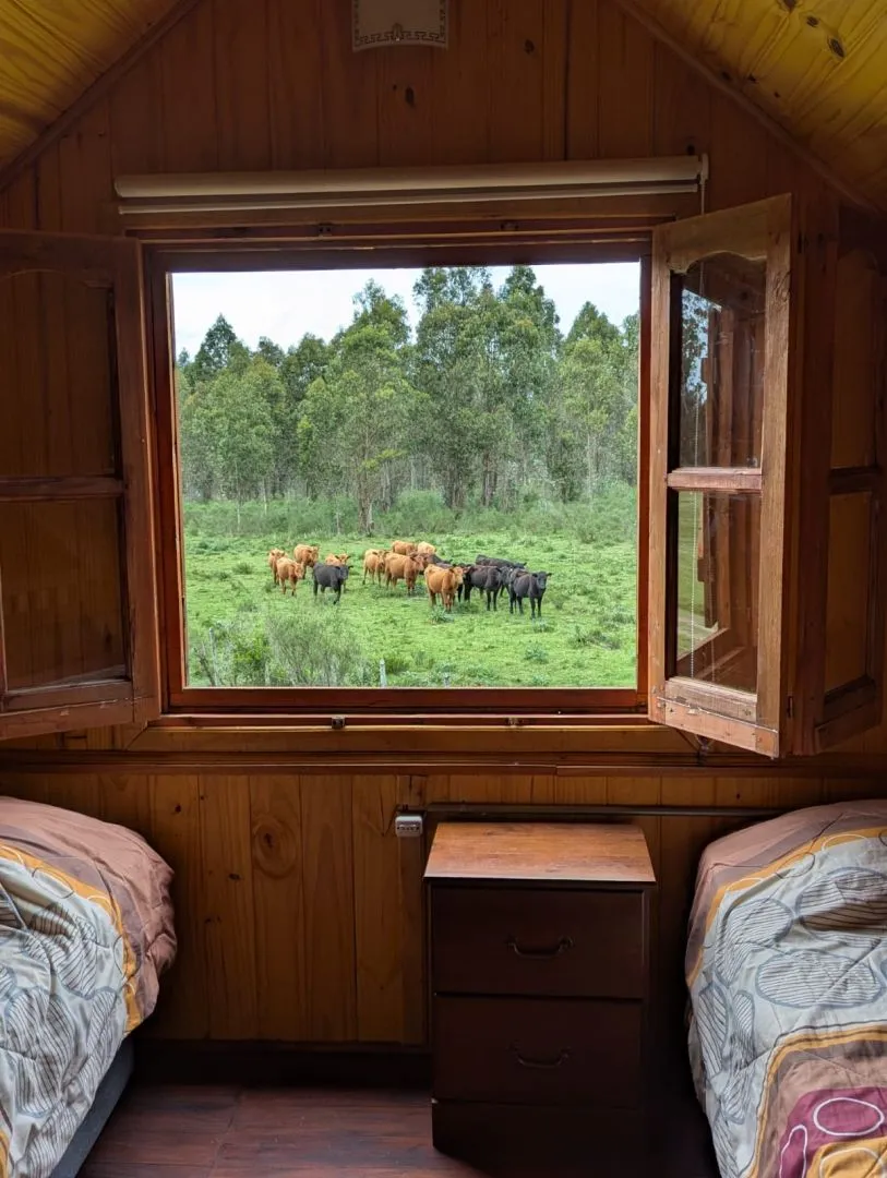 Posada de Campo con 10 cabañas  completas en Maldonado — foto 20