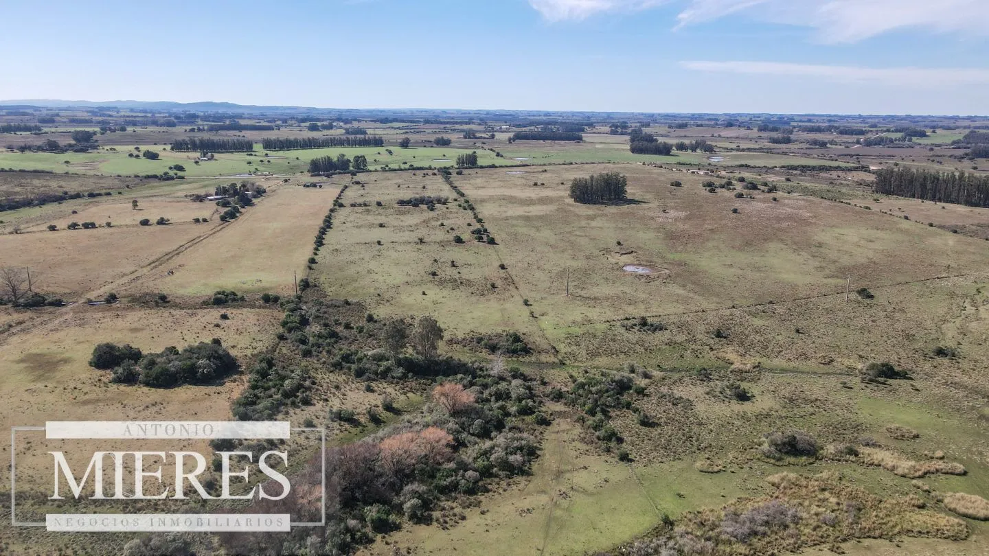 Chacra en Venta en Maldonado, San Carlos. — foto 14