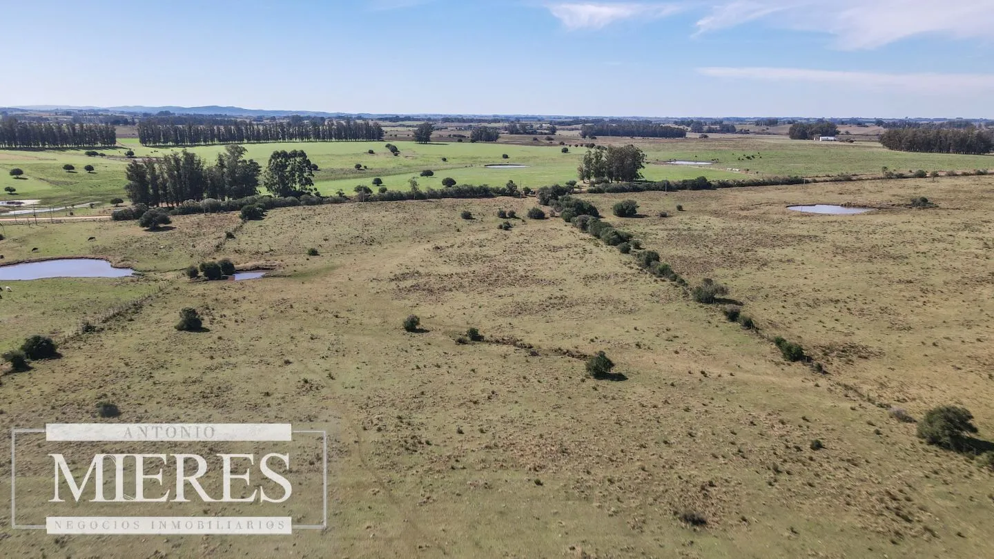 Chacra en Venta en Maldonado, San Carlos. — foto 16