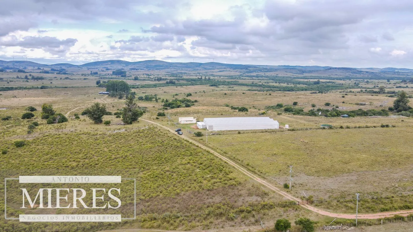 Campo con casa e instalaciones en Pueblo Edén 89ha — foto 1