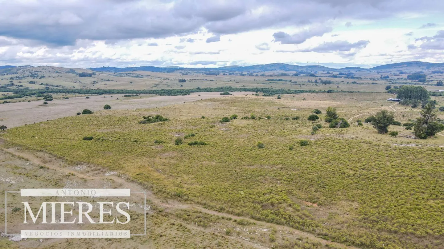 Campo con casa e instalaciones en Pueblo Edén 89ha — foto 2