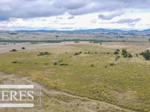 Campo con casa e instalaciones en Pueblo Edén 89ha — foto 2