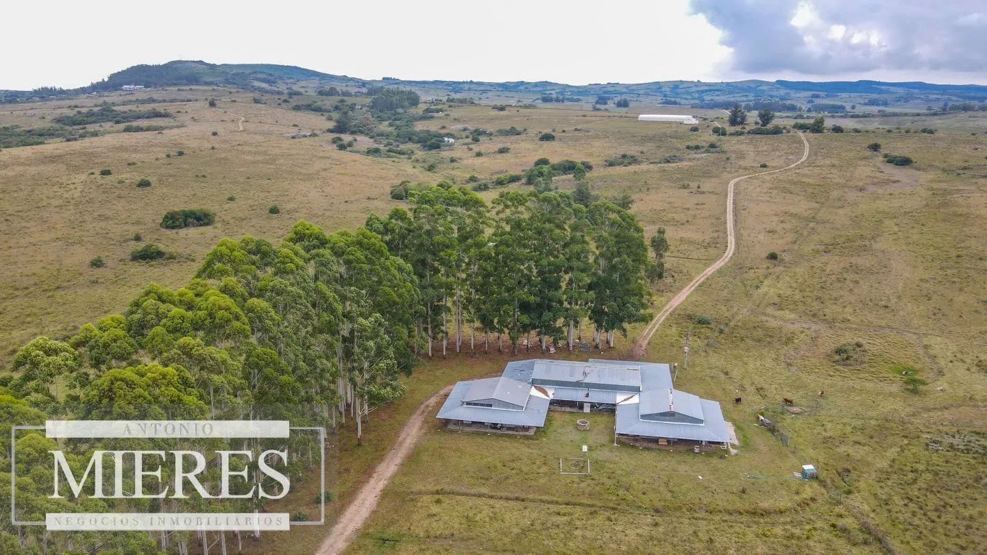 Campo con casa e instalaciones en Pueblo Edén 89ha — foto 3
