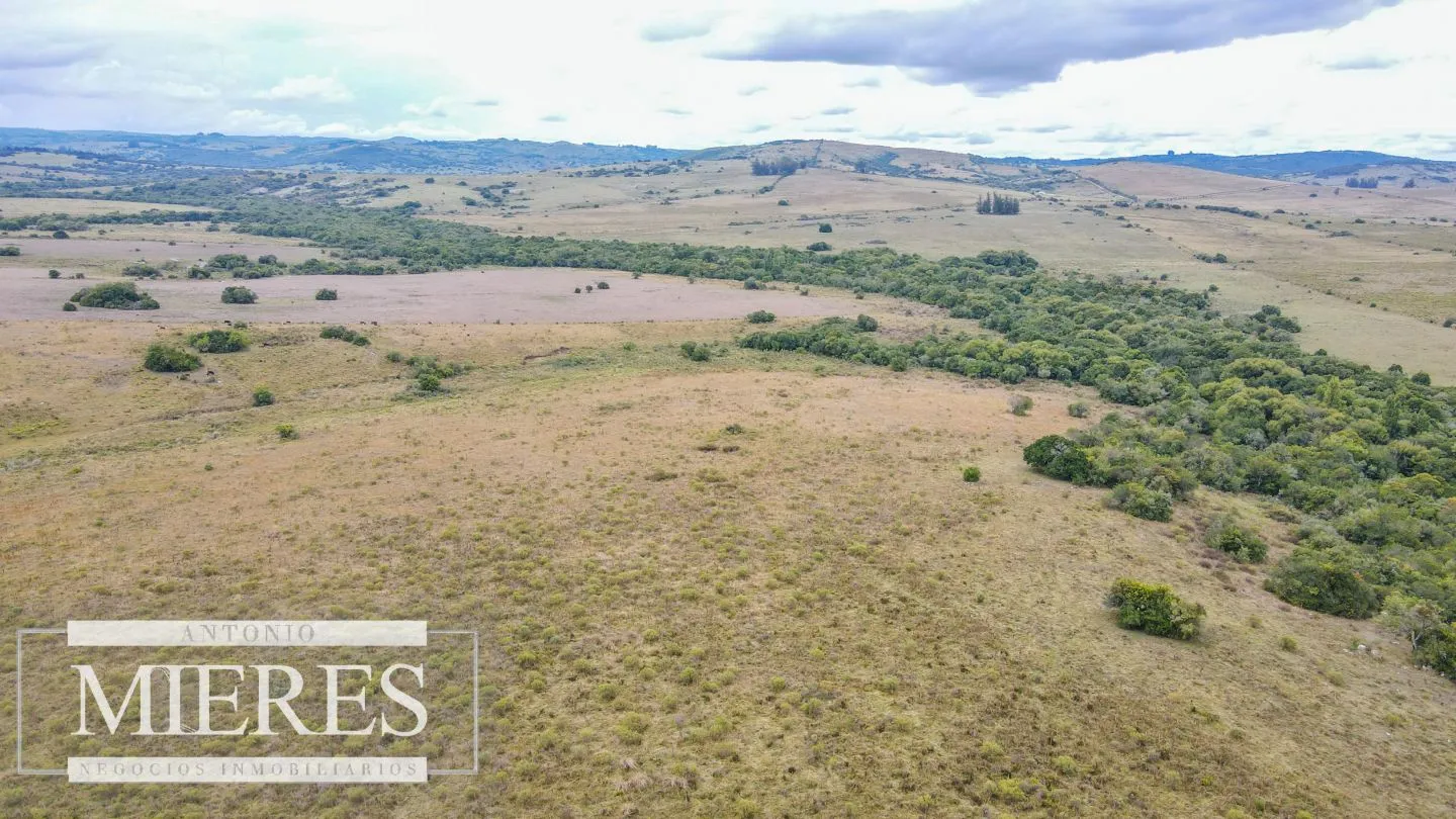 Campo con casa e instalaciones en Pueblo Edén 89ha — foto 4