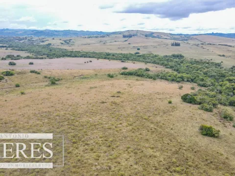 Campo con casa e instalaciones en Pueblo Edén 89ha — foto 4