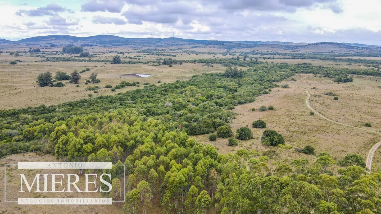 Campo con casa e instalaciones en Pueblo Edén 89ha — foto 5