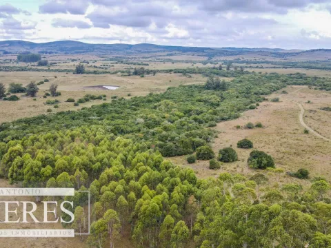 Campo con casa e instalaciones en Pueblo Edén 89ha — foto 5