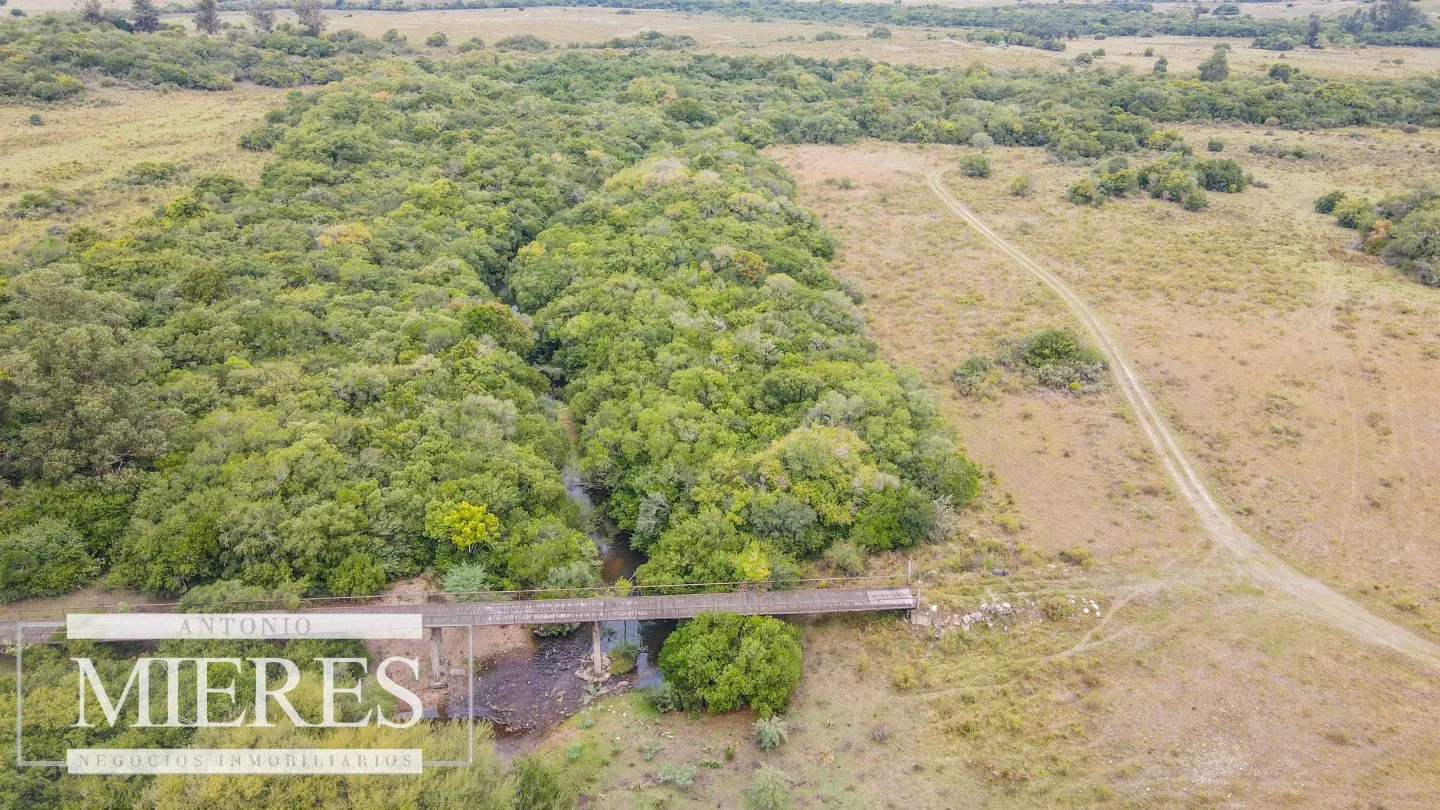 Campo con casa e instalaciones en Pueblo Edén 89ha — foto 6