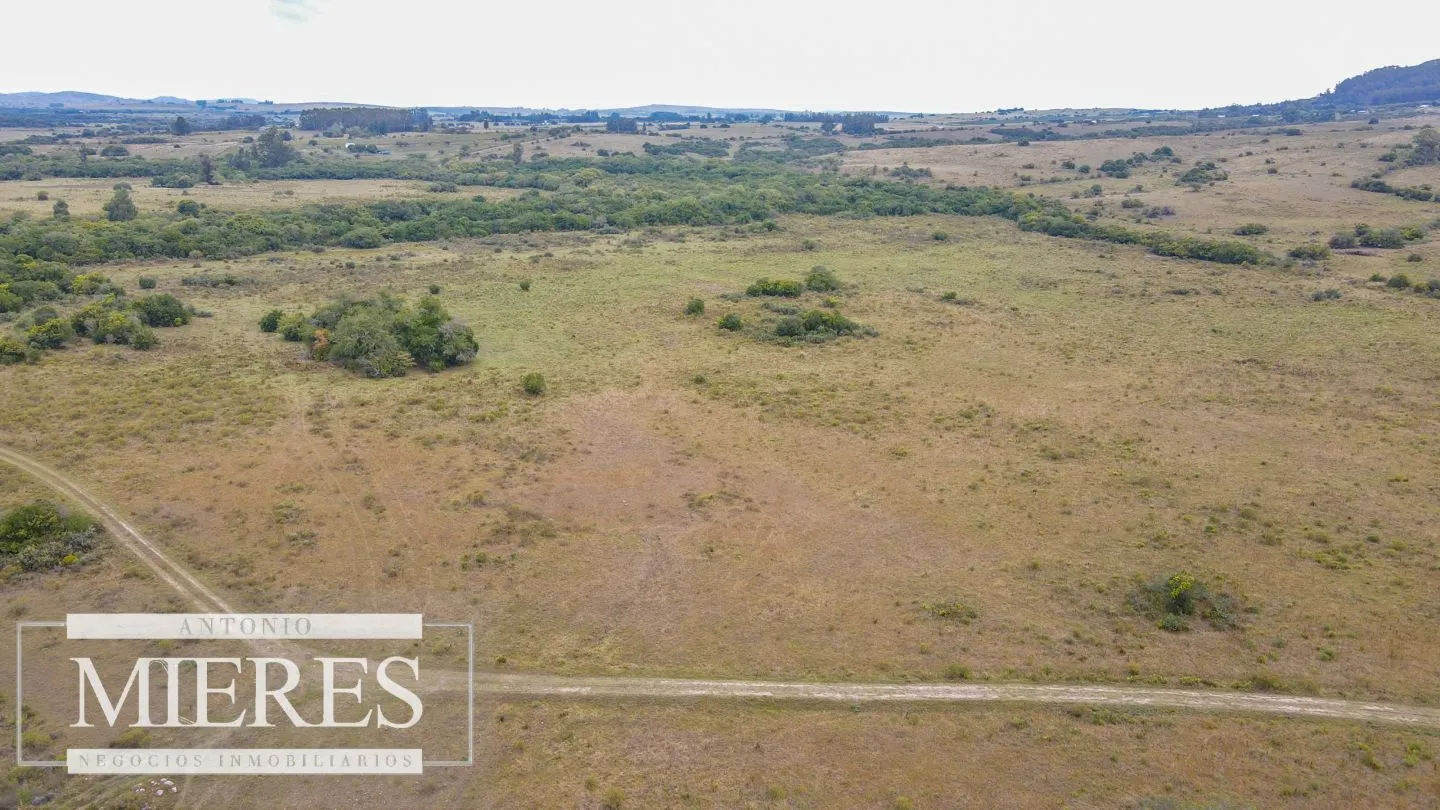 Campo con casa e instalaciones en Pueblo Edén 89ha — foto 7