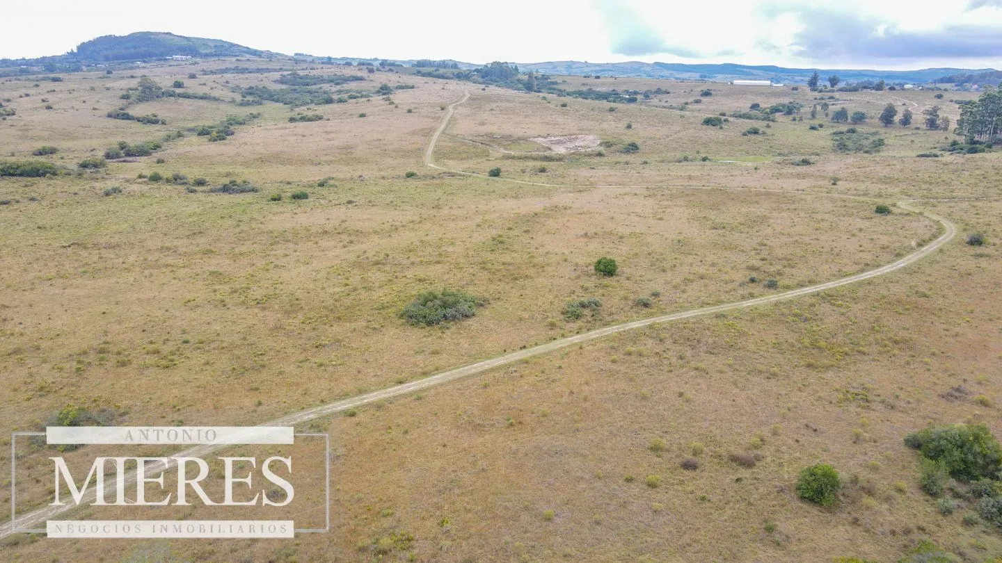 Campo con casa e instalaciones en Pueblo Edén 89ha — foto 8