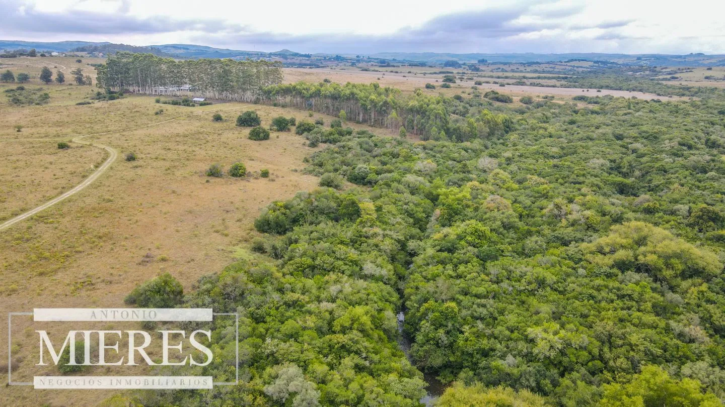 Campo con casa e instalaciones en Pueblo Edén 89ha — foto 9