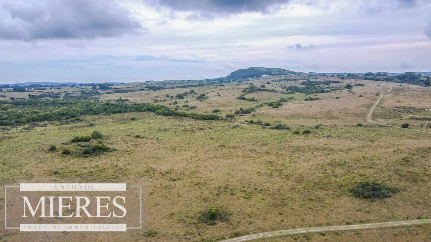 Campo con casa e instalaciones en Pueblo Edén 89ha — foto 10