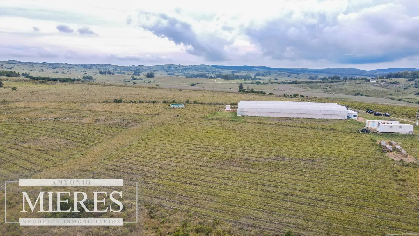 Campo con casa e instalaciones en Pueblo Edén 89ha — foto 16
