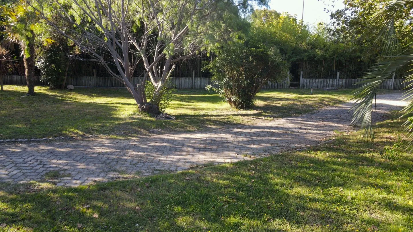 Venta de lote para inversores-Punta Ballena — foto 10