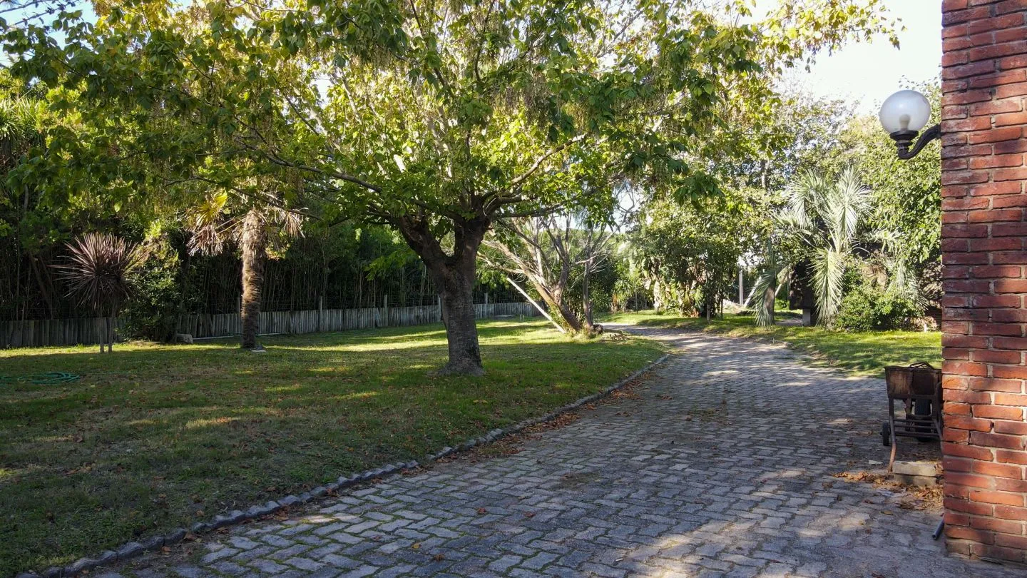Venta de lote para inversores-Punta Ballena — foto 12