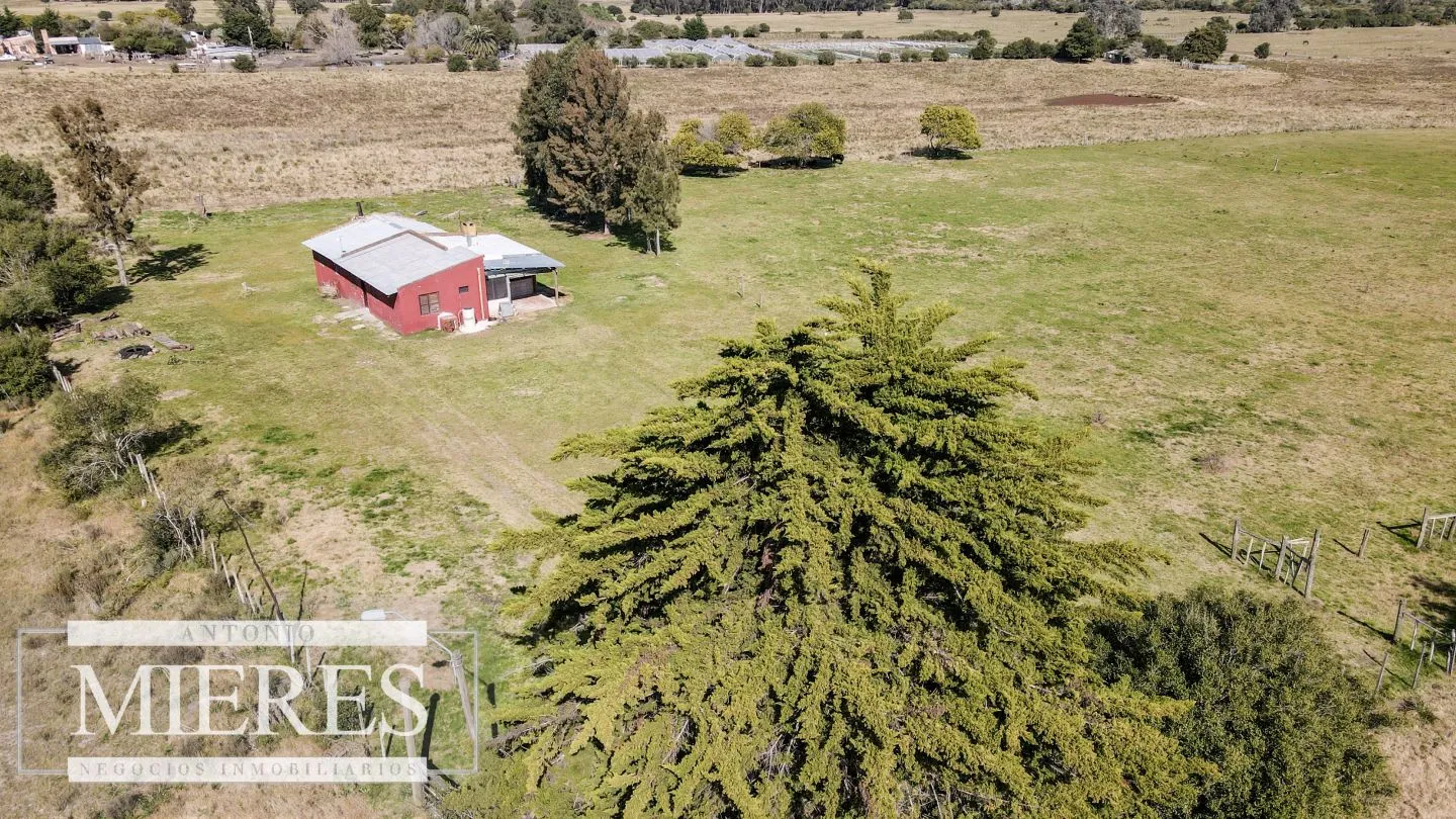 Chacra de 5ha con casa ruta 39 Maldonado — foto 14