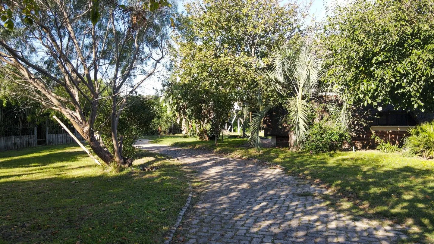 Venta de lote para inversores-Punta Ballena — foto 13