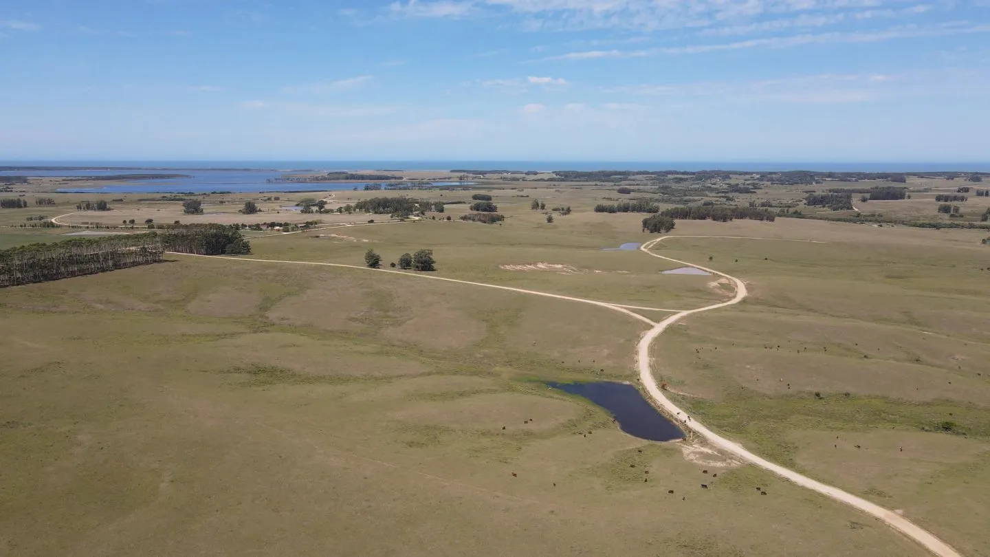 Chacra / Campo 170 ha en José Ignacio — foto 1