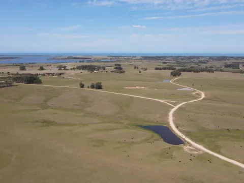 Chacra / Campo 170 ha en José Ignacio