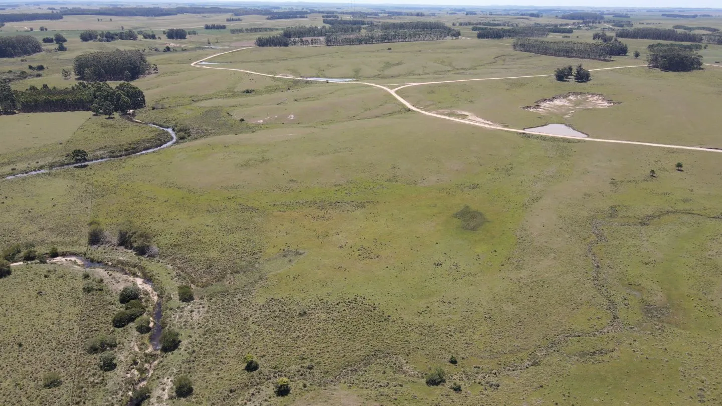 Chacra / Campo 170 ha en José Ignacio — foto 2