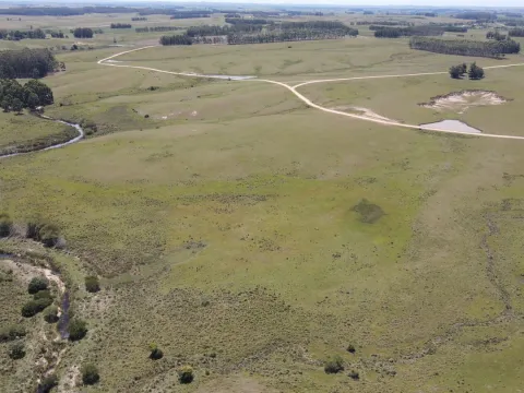 Chacra / Campo 170 ha en José Ignacio — foto 2