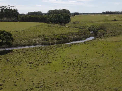 Chacra / Campo 170 ha en José Ignacio — foto 3