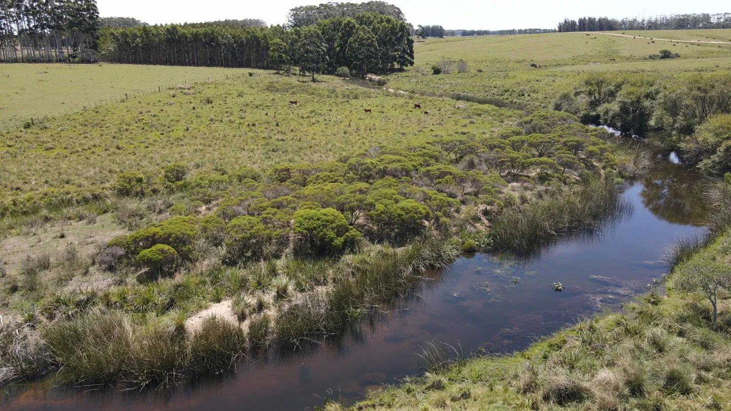 Chacra / Campo 170 ha en José Ignacio — foto 4