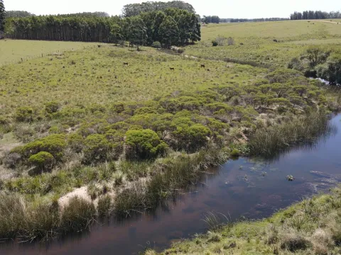Chacra / Campo 170 ha en José Ignacio — foto 4