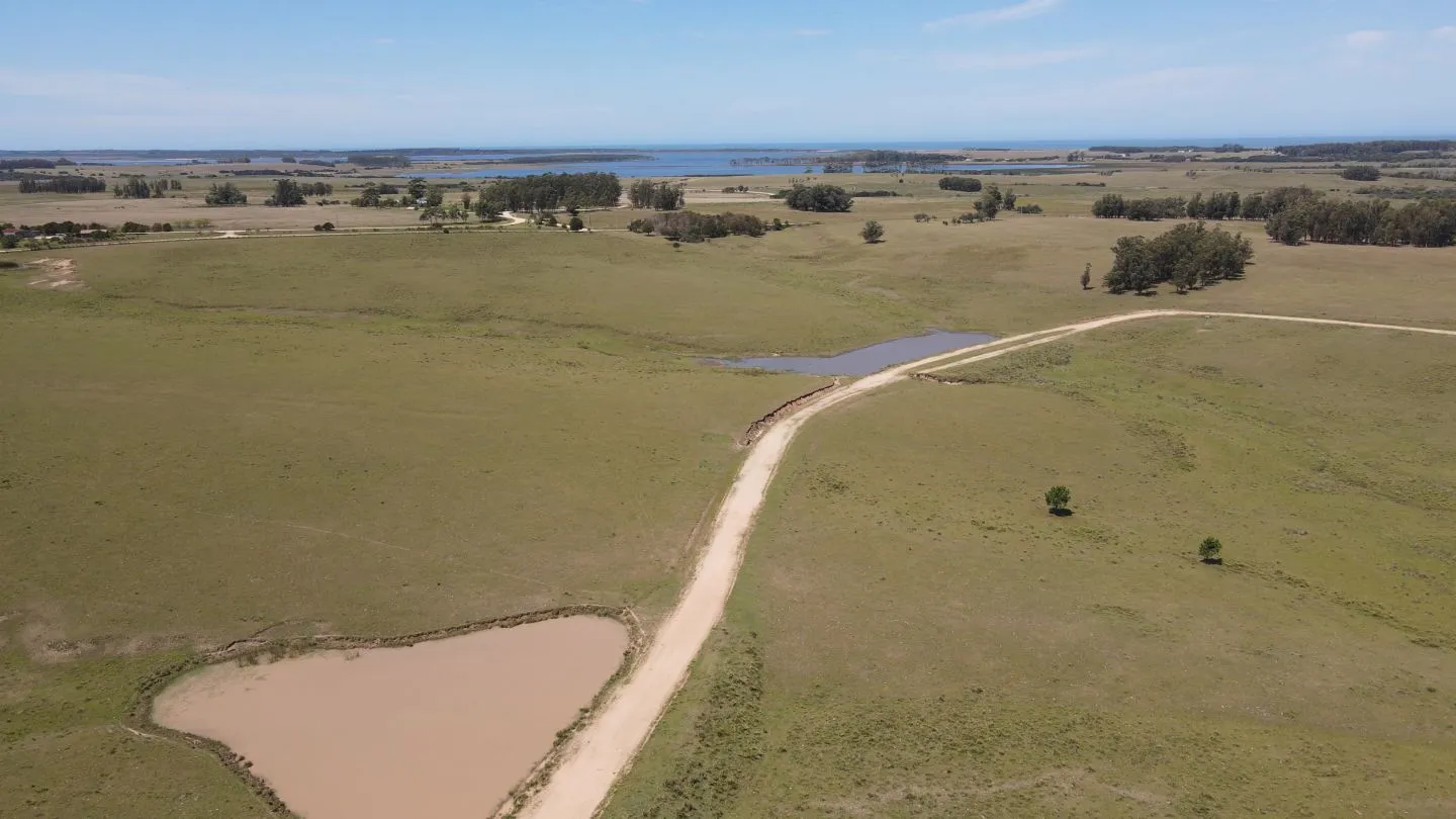 Chacra / Campo 170 ha en José Ignacio — foto 5