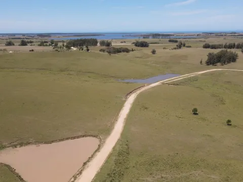 Chacra / Campo 170 ha en José Ignacio — foto 5