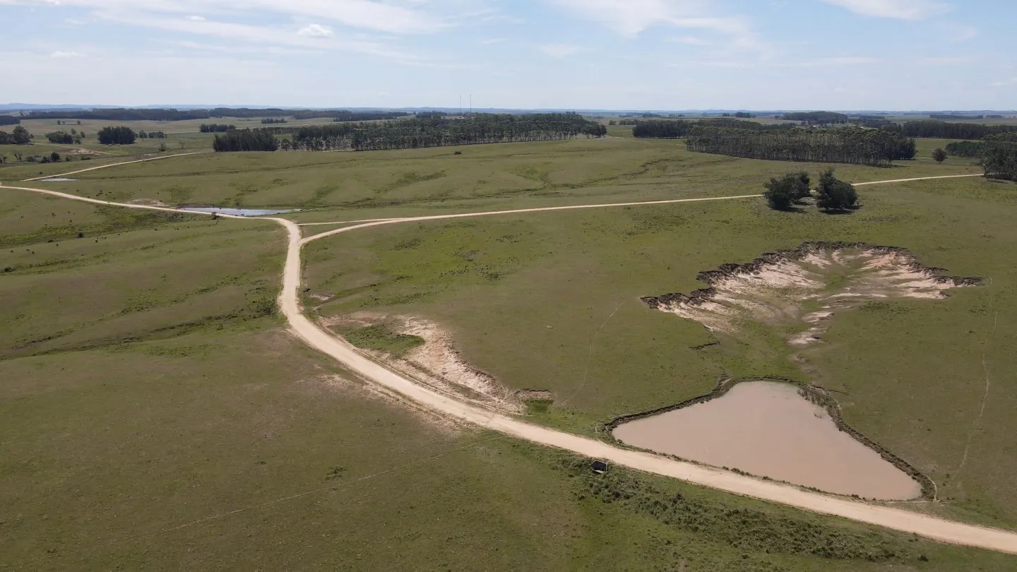 Chacra / Campo 170 ha en José Ignacio — foto 6