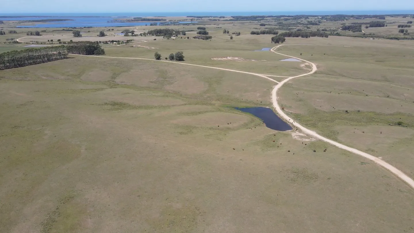 Chacra / Campo 170 ha en José Ignacio — foto 7
